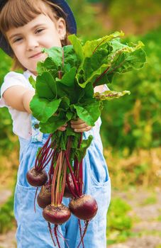 Child and vegetables on the farm. Selective focus. nature.