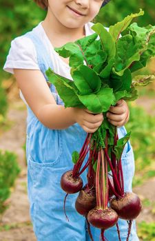 Child and vegetables on the farm. Selective focus. nature.