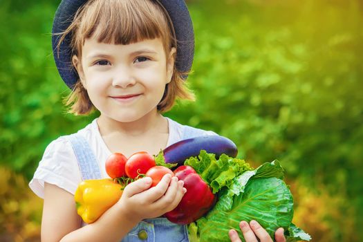 Child and vegetables on the farm. Selective focus. nature.