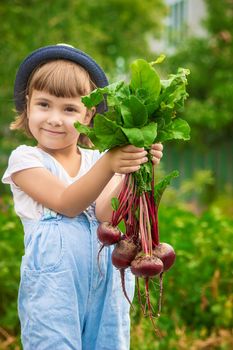 Child and vegetables on the farm. Selective focus. nature.