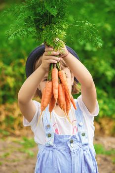 Child and vegetables on the farm. Selective focus. nature.