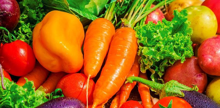 Different bio vegetables. Selective focus. food and drink.