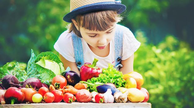 Child and vegetables on the farm. Selective focus. nature.