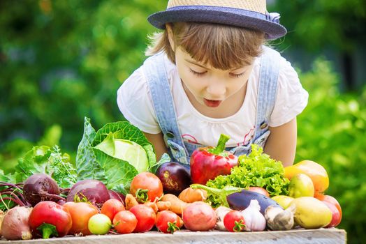 Child and vegetables on the farm. Selective focus. nature.