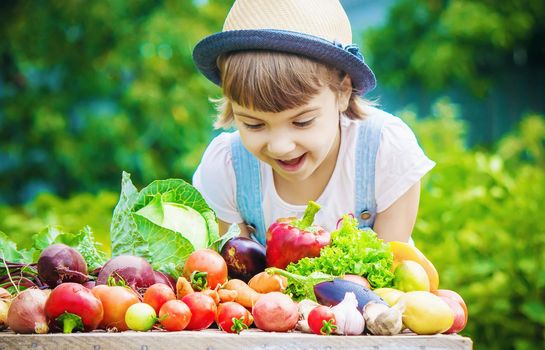 Child and vegetables on the farm. Selective focus. nature.