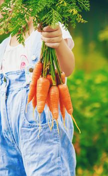 Child and vegetables on the farm. Selective focus. nature.