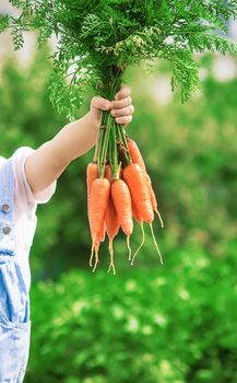 Child and vegetables on the farm. Selective focus. nature.