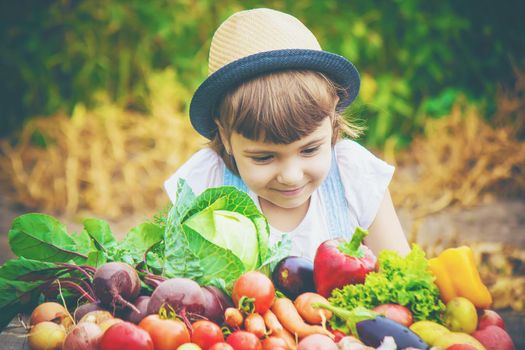 Child and vegetables on the farm. Selective focus. nature.