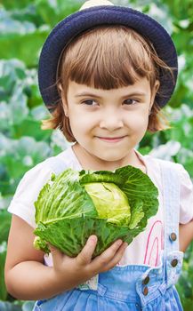 Child and vegetables on the farm. Selective focus. nature.