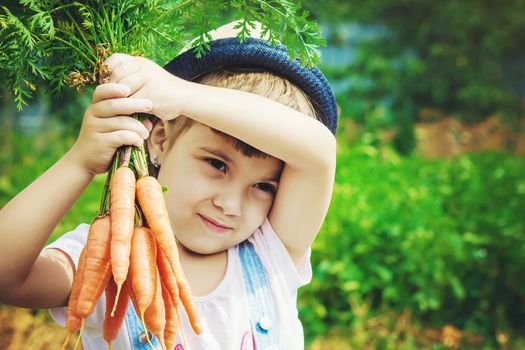 Child and vegetables on the farm. Selective focus. nature.