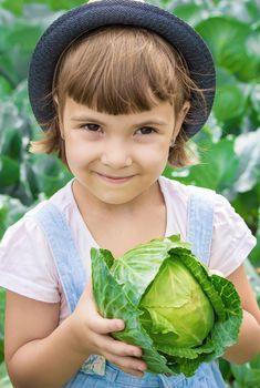 Child and vegetables on the farm. Selective focus. nature.