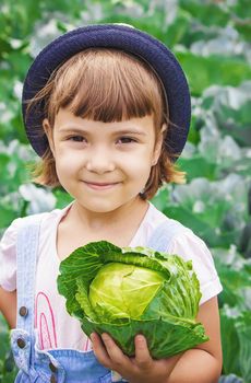 Child and vegetables on the farm. Selective focus. nature.