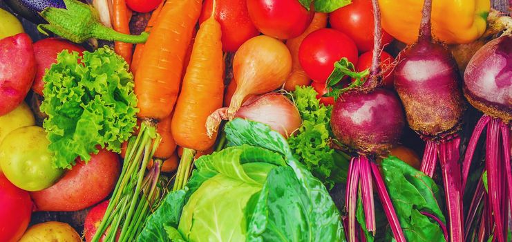 Different bio vegetables. Selective focus. food and drink.