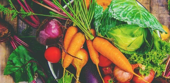 Different bio vegetables. Selective focus. food and drink.