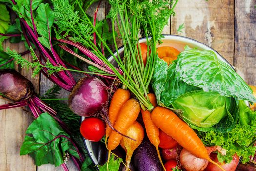 Different bio vegetables. Selective focus. food and drink.