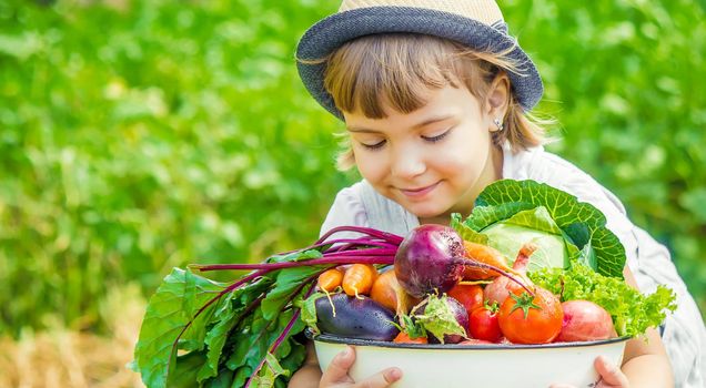 Child and vegetables on the farm. Selective focus. nature.