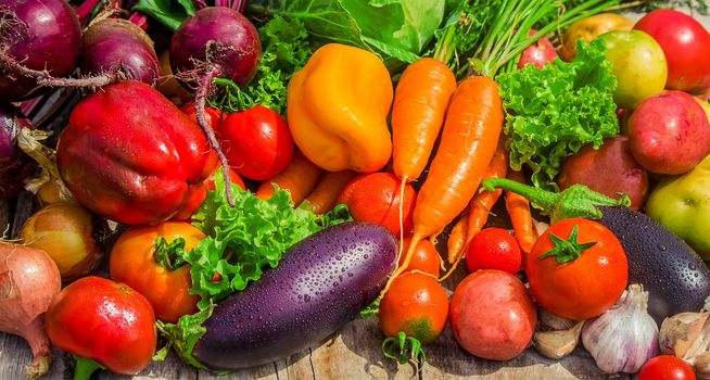 Different bio vegetables. Selective focus. food and drink.