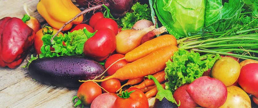 Different bio vegetables. Selective focus. food and drink.