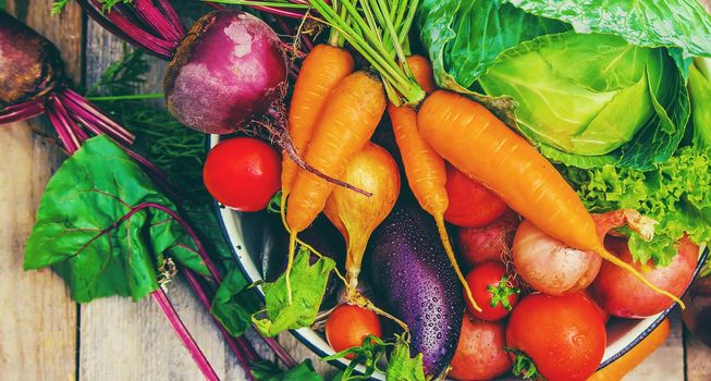 Different bio vegetables. Selective focus. food and drink.