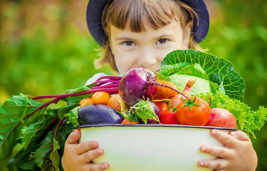 Child and vegetables on the farm. Selective focus. nature.