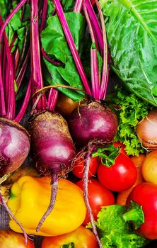 Different bio vegetables. Selective focus. food and drink.