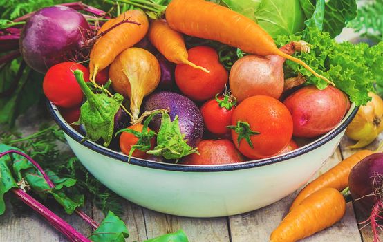 Different bio vegetables. Selective focus. food and drink.