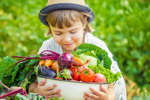 Child and vegetables on the farm. Selective focus. nature.