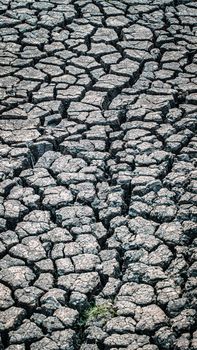 Texture cracked, dry the surface of the earth. global shortage of water on the planet. Global warming and greenhouse effect concept.