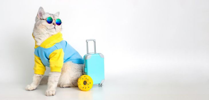 A funny white cat in a blue sweatshirt and sunglasses sits next to a suitcase and a yellow rubber donut on a white background. Wide banner. copy space
