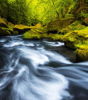 Beautiful Hrensko, Czech Republic pictures