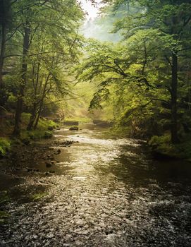 Beautiful Hrensko, Czech Republic pictures