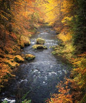 Beautiful Hrensko, Czech Republic pictures