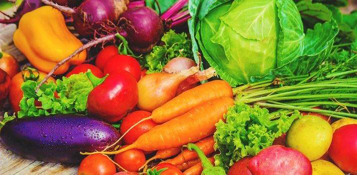 Different bio vegetables. Selective focus. food and drink.