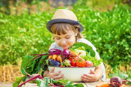 Child and vegetables on the farm. Selective focus. nature.