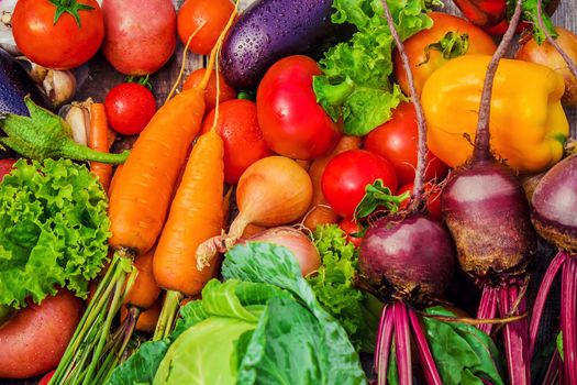 Different bio vegetables. Selective focus. food and drink.