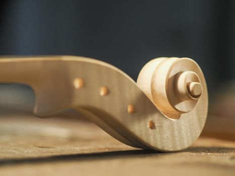 Wooden detail of the head of the violin. Raw wood, texture