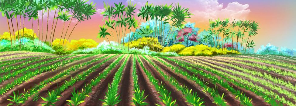 Rice fields on a sunny day. Digital Painting Background, Illustration.