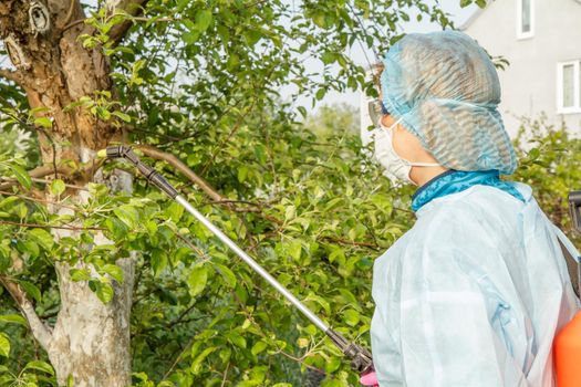 Woman in a protective suit is spraying apple tree from fungal disease or vermin with pressure sprayer and chemicals in the spring orchard.