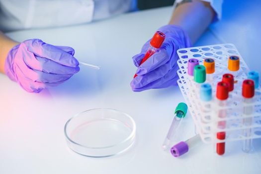 A medical professional, laboratory assistant, doctor performs an analysis in a laboratory, uses test tubes, a pipette and a petri dish for the presence of bacteria in the human body