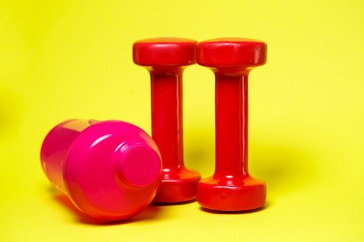 red dumbbells, pink shaker, colored background, sports, energy drink, gym equipment