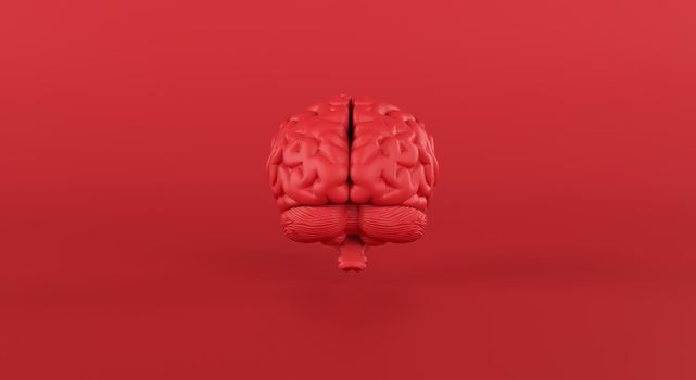 Red brain in front view on minimal studio background, thinking, idea, passionate business, medical. 3d rendering.