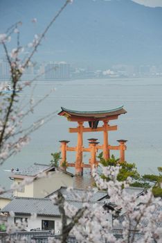 red gate at miyajima with cherry blossom