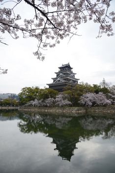 hiroshima castle with cherry blossom