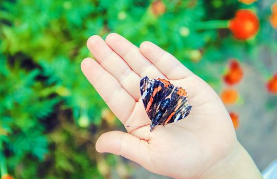 Child with a butterfly. Selective focus. nature and child.