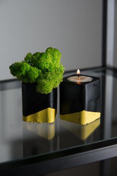 candle and moss in black and yellow concrete candle holders.