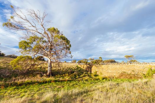 The famous Spiky Bridge and surrounding landscape built by convicts in mid 19th century near Swansea in Tasmania, Australia