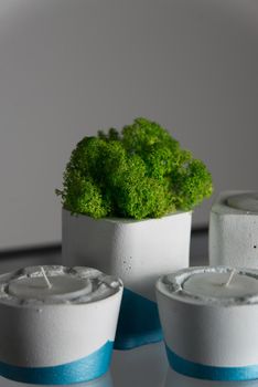 candles and moss in white and blue concrete candle holders.