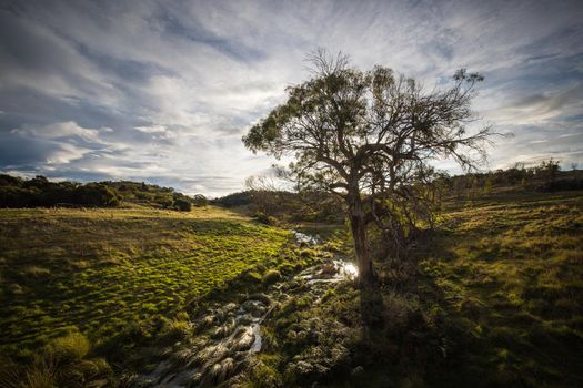 The famous Spiky Bridge and surrounding landscape built by convicts in mid 19th century near Swansea in Tasmania, Australia