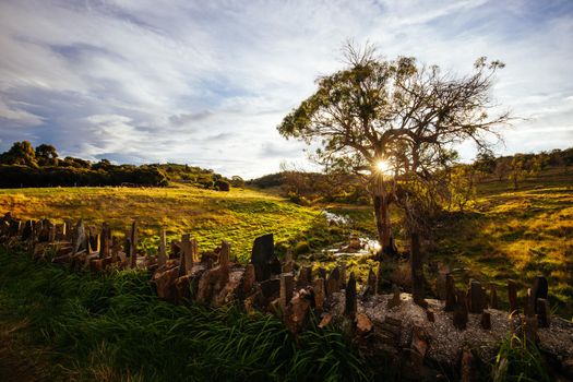 The famous Spiky Bridge and surrounding landscape built by convicts in mid 19th century near Swansea in Tasmania, Australia