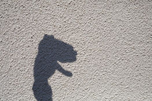 Shadow from the hand on the pavement. Shadow play on a sunny day